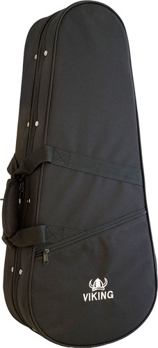 Oblong mandolin case - oblong, foam