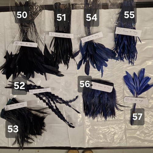 Feathers for millinery - ,, coque