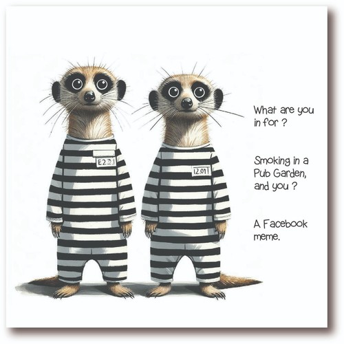 Birthday card funny adult - -,
