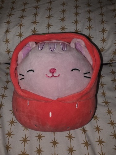 Squishmallows laura the cat - squishmallows, in