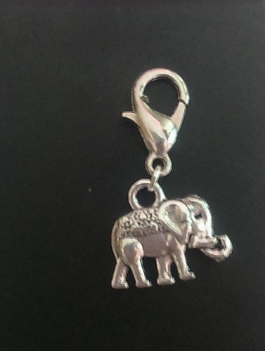 Clip charms for bracelet - on,
