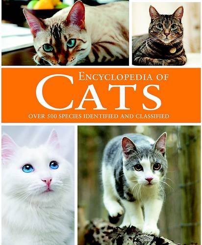 Cats - , (animal
