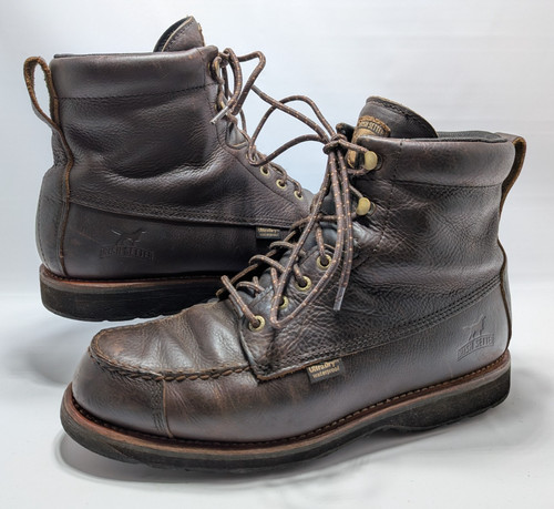 Red wing irish - red, setter