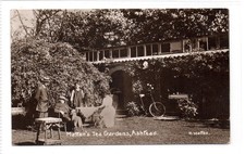 MATTEN'S TEA GARDENS, ASHTEAD: Surrey postcard (C93479)