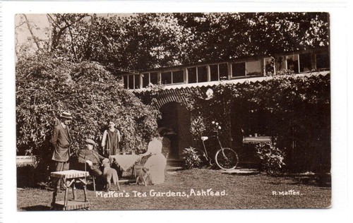 Matten tea gardens ashtead - tea,