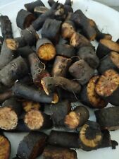 12 x COMFREY  ROOT CUTTINGS - APRPOXIMATLY 1 - 2 cm -BOCKING 14