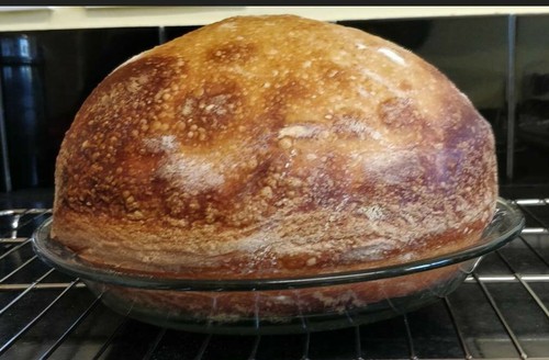 Sourdough starter from - sourdough, alaska