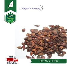 Organic Herbs Beedana Quince