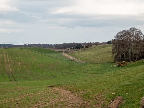 Photo 6x4 winter barley - barley, in