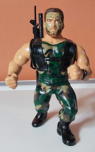 Arnold schwarzenegger custom - arnold,