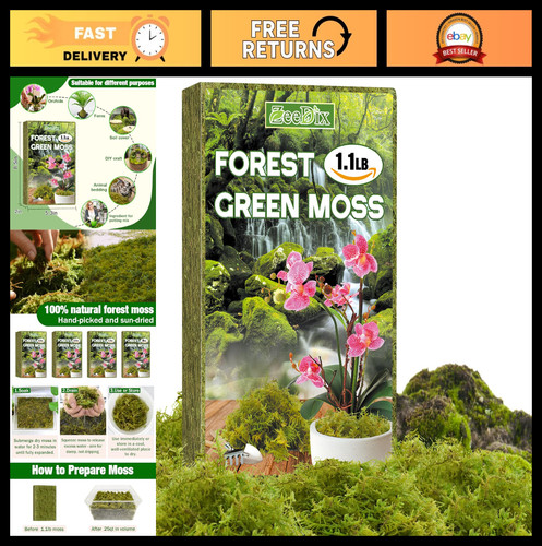 Dried forest moss for - forest, indoor