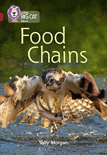 Food chains band ruby - chains:, 14/ruby