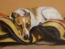 Fine art study jack russell - fine,