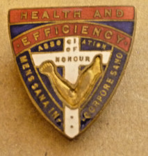 VINTAGE ENAMEL BADGE HEALTH &