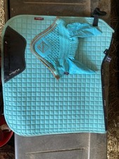 Le mieux turquoise dressage