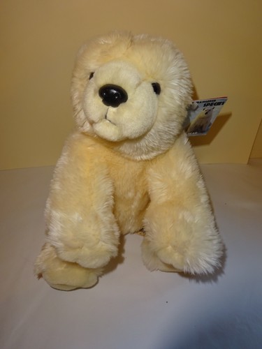 Brand new with tags polar - brand,