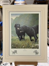 NIgel Hemming - Play (wash line Mount) - Mounted - In Stock