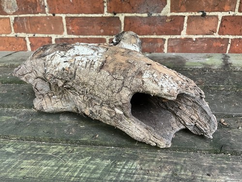 Large hollow apple - large,