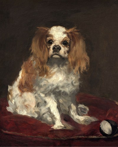 King charles spaniel vintage - a,