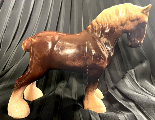 Unusual vintage bay roan - bay,