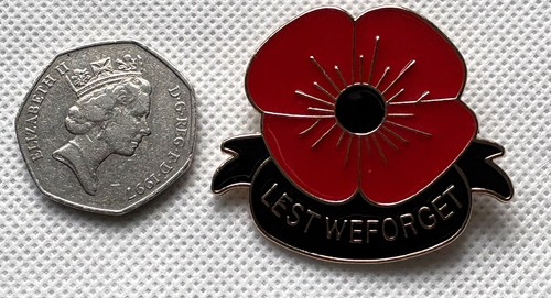 Superb large poppy - superb, poppy¹
