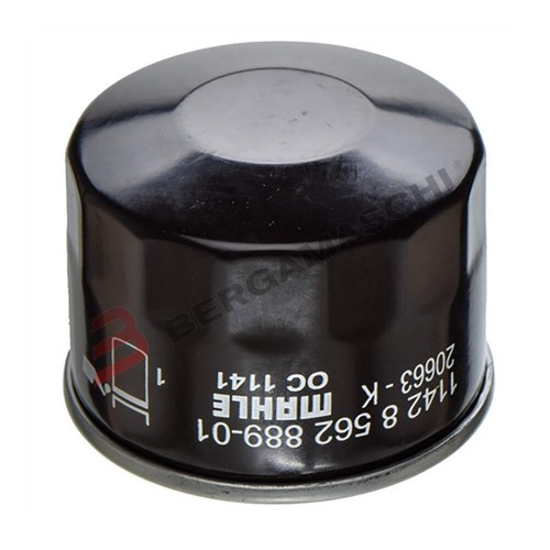 E177132 oil filter for bmw - filter,