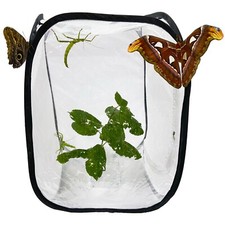 Pop Up Net Insect Cage - For