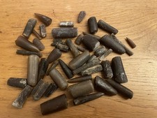 Job Lot Jurassic Coast