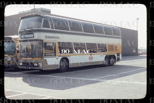 Scrtd neoplan bus - dd,