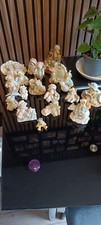 Collection of 18 Cherished
