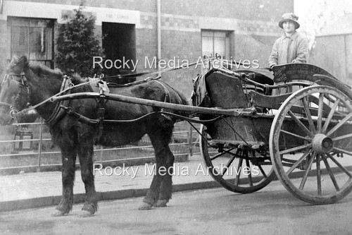 Ufd horse drawn - ufd-19,