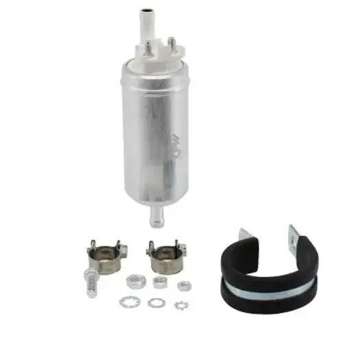 Fuel pump electric 76043 - electric, meat