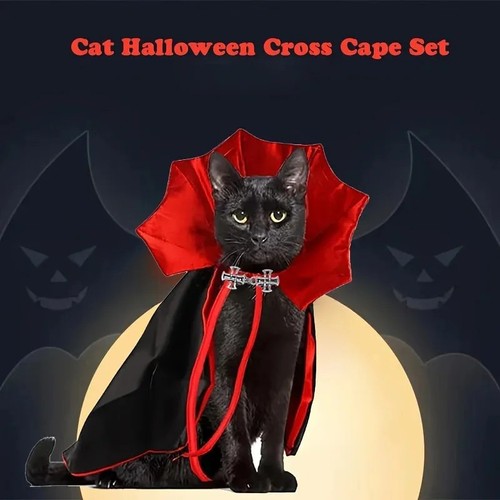 Halloween pet cat dog vampire - halloween,