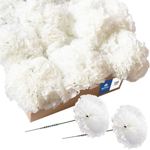 100 white silk carnations - 100,