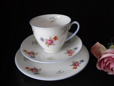 Shelley 2326 Fine Bone China