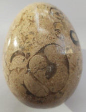 Fossil Mineral Egg