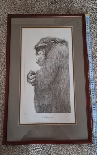 Gary hodges limited edition - gary,