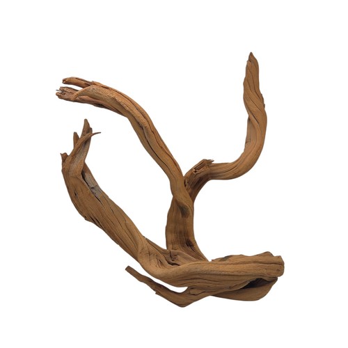 Driftwood root spider wood - spider,