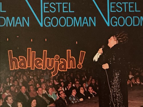 Hallelujah vestel goodman - vestel,