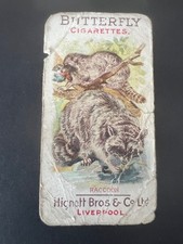 Hignett - ANIMAL PICTURES  c