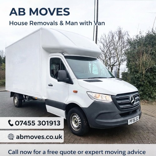 Moves london man with van - man,