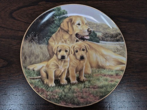 Franklin mint labrador plate - franklin,