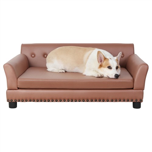 Extra large dog - dog, sofa