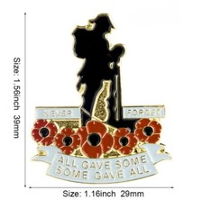 Remembrance Soldier Pin Never