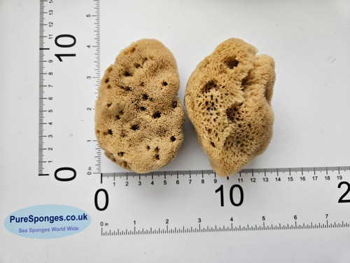 Natural sea sponge fine silk - fine,