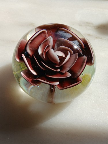 Mauve pink rose - pink, clear