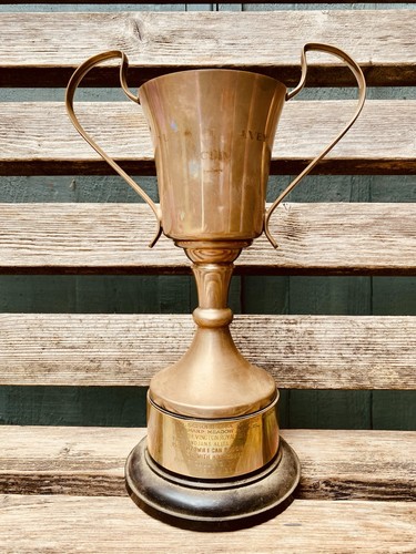 Silver trophy - silver, 11.5”
