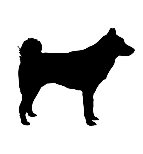 Personalised dog slate - dog,