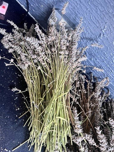 25x dried lavender flowers - 25x,
