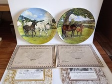 Spode Susie Whitcombe The